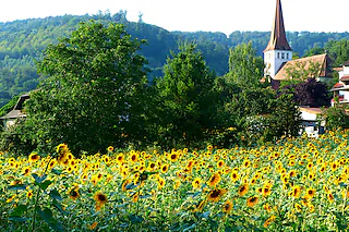 Ortsteil Kuhbach