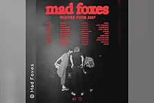 Mad Foxes
