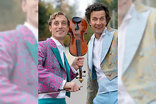 Les Papillons