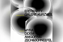 Ersti Party