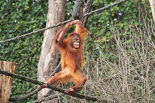 Zoo Basel (Zolli)