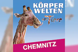 KÖRPERWELTEN der Tiere | Chemnitz | Zeitfensterticket