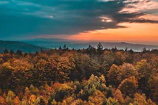 Aussichtsturm am Windpark