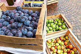Äpfel, Zwetschgen, Birnen [Privat]