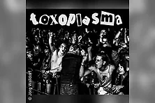Toxoplasma