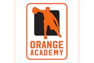 Artland Dragons - OrangeAcademy