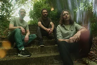 Mammal Hands | Dieter Ilg & Band