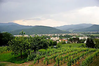 Mauracher Berg