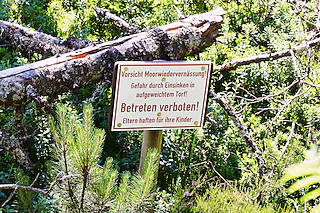 Horbacher Moor