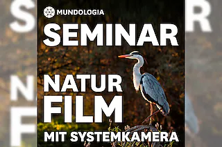 MUNDOLOGIA-Seminar: Naturfilm in der Praxis