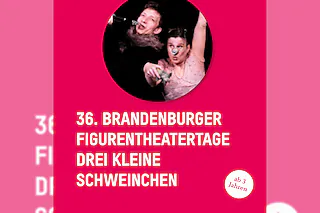 Drei kleine Schweinchen