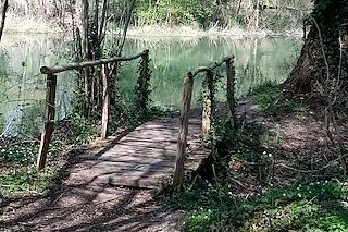 Elzpfad