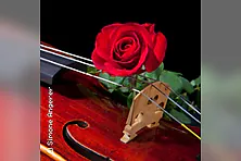 Klänge der Romantik - von Mendelssohn, Tschaikowsky bis Rossini