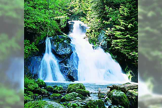 Triberger Wasserfälle