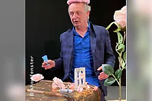 Wenn du einen Wal sehen willst