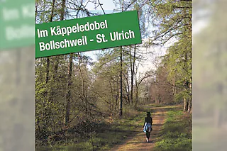 Waldbaden mit Naturcoach Miriam Baldes