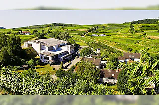 Winzergenossenschaft Jechtingen-Amoltern