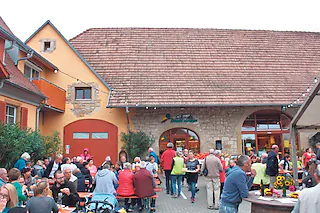 Lehenshof (Schlatt)