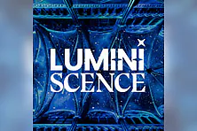LUMINISCENCE