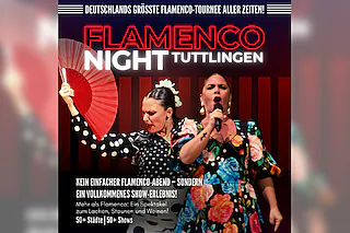 Flamenco Night - Flamencomania