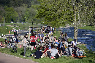 Feuerstelle Dreisam