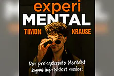 Timon Krause - experiMENTAL