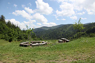Sohlacker