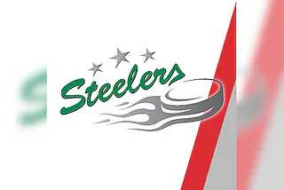 EHC Freiburg - Bietigheim Steelers