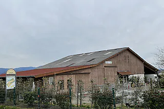 Spargelhof Scherb (Opfingen)