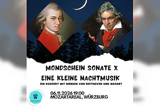 Eine kleine Nachtmusik X Mondscheinsonate