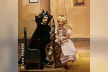 Dorn-Röschen