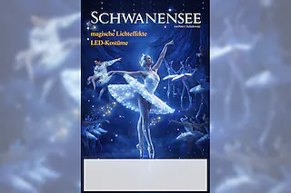 Schwanensee - Ballett in 2 Akten
