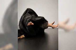 Im Fell - Relaxed Performance