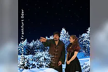 Waldwichtels Weihnachtsabenteuer