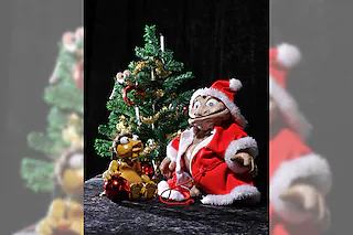 „Weihnachten beim großen Bo und beim kleinen Pizzico“ - Tearticolo