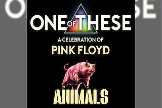 One Of These - A Celebration of Pink Floyd - Animals-Tour