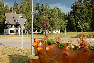 Ignaz-Gfell-Platz in Bärental27.07.2006, BZ - NEU: Den Ignaz-Gfell-Platz in Bärental soll statt des „Falken“ bald ein Lidl-Markt zieren. Ralf Morys [Ralf Morys]
