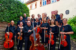 Kammerorchester musica salutare - Leitung: Adelheid Abt