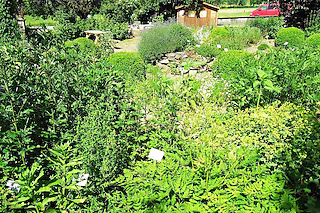 Kräutergarten