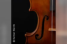 Gustav Mahlers 9. Symphonie