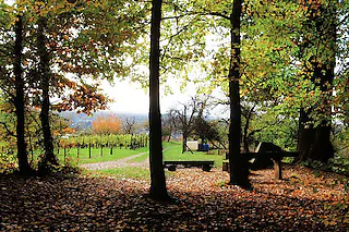 Grillplatz Wilhelmshöhe bei Windenreute