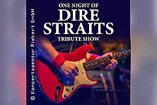 One Night of Dire Straits - Tribute Show