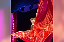 Galli Silvester Show