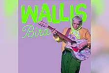 Wallis Bird