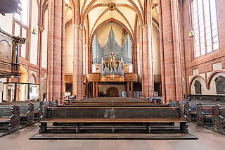 Domführung