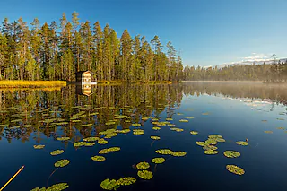 FINNLAND mit Ruth und Jürgen Haberhauer
