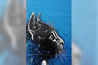 Mit dem Rad die Stadt entdecken - Street Art - auf diesen Termin verschoben
