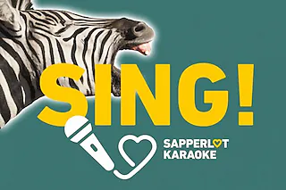 Sapperlot-Karaoke-Invasion - No1