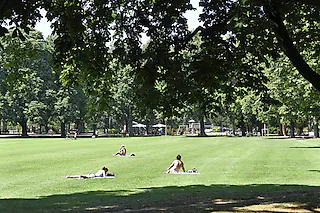 Schützenmattpark