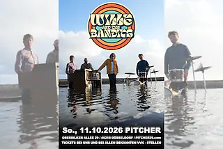 WILLE AND THE BANDITS